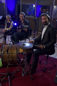 Highly Qualified and Experienced traditional musicians for hire in Ireland with Audionetworks